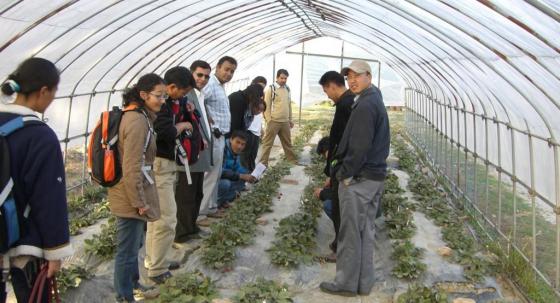 SEECON 2009 Field Trip Course Buthan Greenhouse